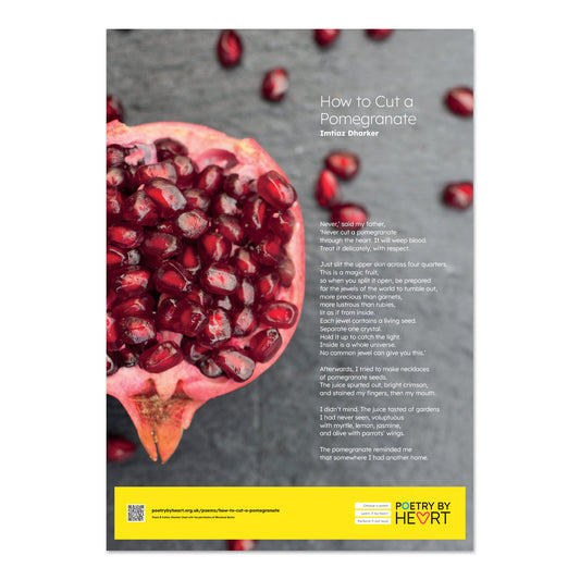 SPECIAL OFFER Set of twelve A2 poem posters - 2024 edition