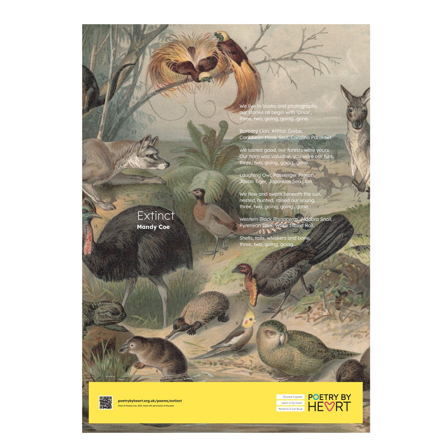 SPECIAL OFFER Set of twelve A2 poem posters - 2024 edition