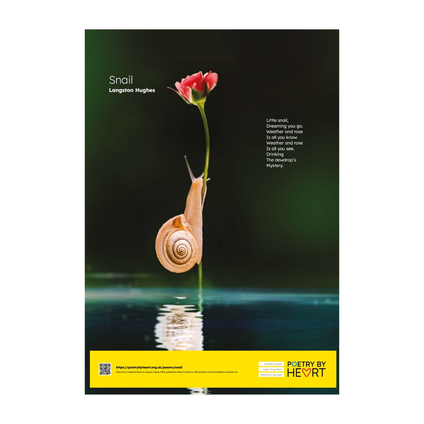 Set of twelve A2 poem posters. - 2025 edition